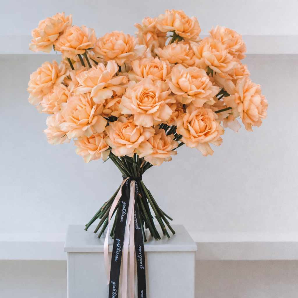 Blossom and Pink Roses